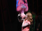 Spider-Man musical producers developing Rio...