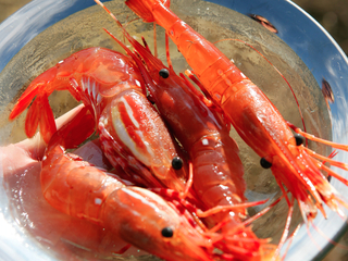 The 2015 Super Bowl of Seafood