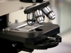 Why antibiotic resistance has become a problem