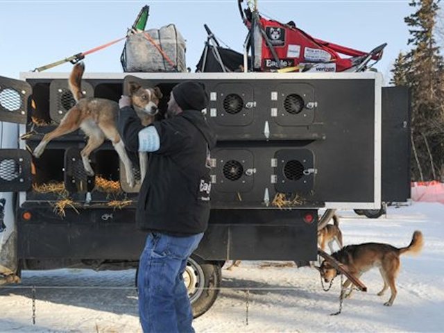 Mushers set off as Iditarod race begins