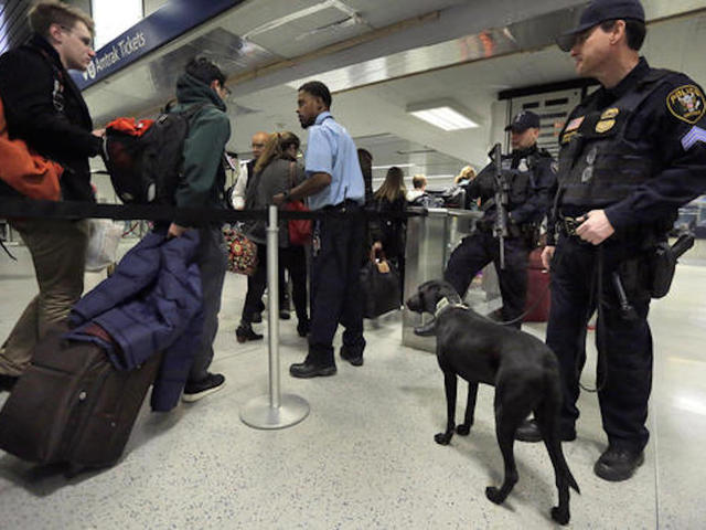 Dogs may be best bet to stop subway attacks