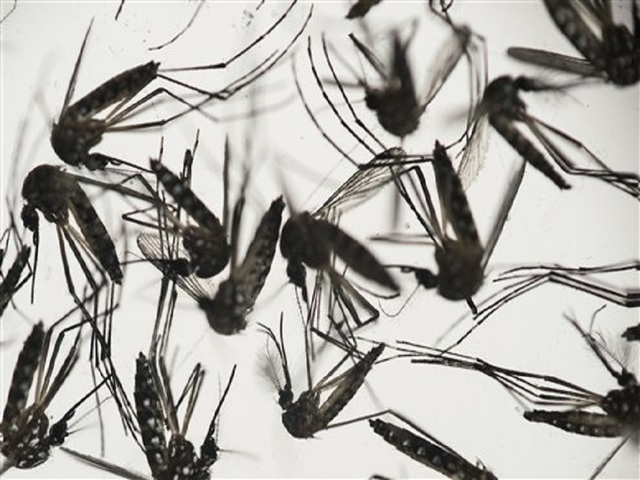 House begins tricky discussion on Zika spending