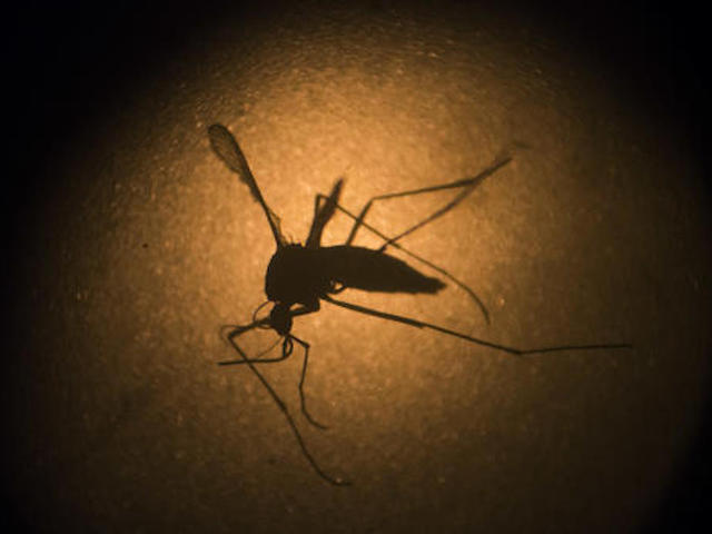 Scammers, bug spray companies capitalizing on Zika fears