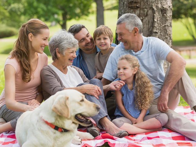 Family closeness more important than friendships when it comes to staying alive for older folks