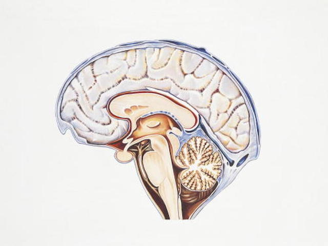 Decoding the thoughts of patients who can't even blink
