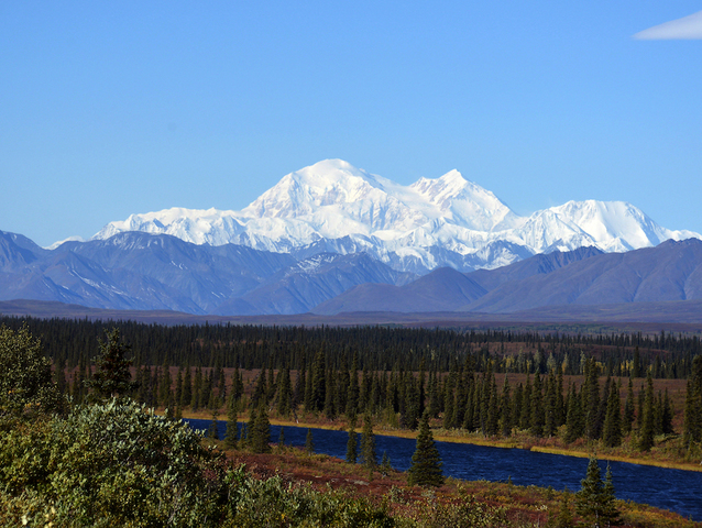 More than half of national parks board quits, citing differences with Trump administration